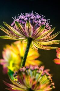 BK Pneuservis: Jak získat perfektní servis a skvělé ceny?