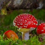 Mytí alu kol doma: Efektivní a šetrné metody