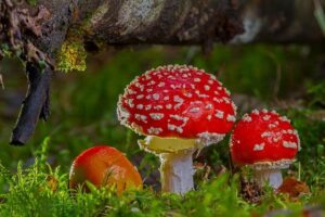 Mytí alu kol doma: Efektivní a šetrné metody