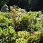 Celoroční pneu na dodávku: Jaké jsou nejlepší?