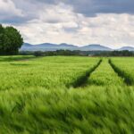 Pneumatiky pro vysokozdvižné vozíky: Jak vybrat? 2 Pneumatiky pro vysokozdvižné vozíky: Jak vybrat?