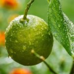 Kolik mm má mít zimní pneu: Normy pro 2024 14 Kolik mm má mít zimní pneu: Normy pro 2024