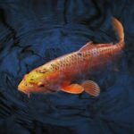 Kryty na pneumatiky: Jaké vybrat pro ochranu? 3 Kryty na pneumatiky: Jaké vybrat pro ochranu?