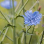 Značení ET na alu kolech: Kde ho najdete a co znamená