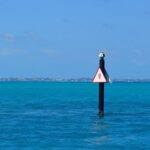 Výkup ojetých pneumatik Praha: Kde dostanete nejvíc?