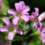 Dusík do pneumatik: Proč je lepší než vzduch?