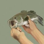 Nejlevnější alu kola: Kde je najít a na co si dát pozor 20 Nejlevnější alu kola: Kde je najít a na co si dát pozor