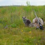 Rovnání Alu Kol Brno: Jak Získat Dokonalý Tvar za Minutu!