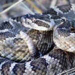 Poznáte sjetou pneumatiku? Tipy pro bezpečnou jízdu