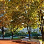 Rozměr pneu na Octavii 3: Jaký je ideální? 13 Rozměr pneu na Octavii 3: Jaký je ideální?