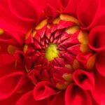 Hradec: Pneuservis, který vás překvapí kvalitou!