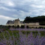 Význam ET u Kol: Důležité Informace 15 Význam ET u Kol: Důležité Informace